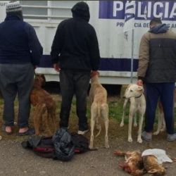Los cazadores fueron sorprendidos in fraganti.