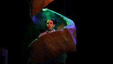 0805_dominga