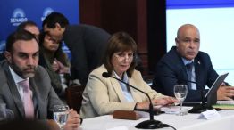Bulrrich, entre Abdala y Atauche, alfiles libertarios en el Senado.