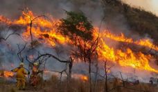 Incendios rurales