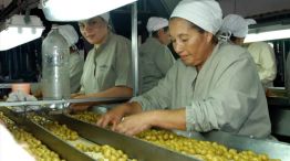 Aceitunas