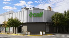 Cooperativa Provincial de Servicios Públicos y Comunitarios de Neuquén Limitada, CALF