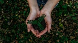 Medio ambiente