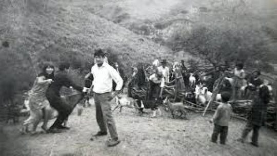 "Nuestra Tierra": Paula Bistagnino destacó el documental de Lucrecia Martel como ejemplo de periodismo de investigación
