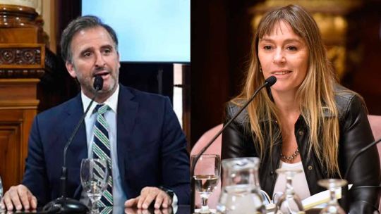 Di Tullio impugnó a Joaquín Benegas Lynch por un presunto conflicto de intereses en el debate de la Ley de Tierras