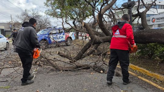 Ráfagas de hasta 95 km/h en Córdoba: Defensa Civil recibió 950 llamados por la tormenta de viento