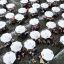 Fotogaleria Vista aérea tomada con un dron de personas refrescándose, en la aldea de Fushi, en el poblado de Xiaofeng del distrito de Anji, en la provincia oriental china de Zhejiang