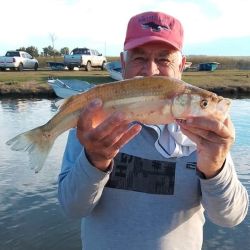 0708_mapa_pique_pesca