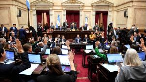 senadores correntinos