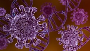 Virus