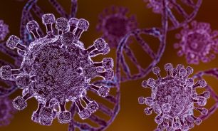 Virus