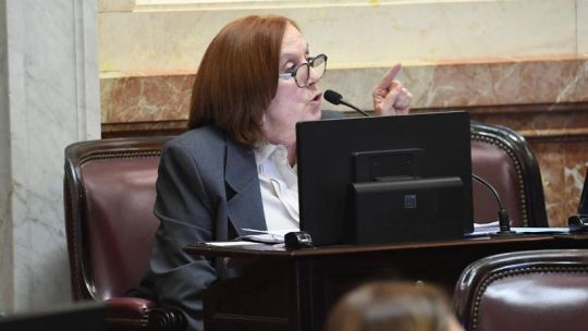 Alejandra Vigo afirmó que el proyecto de propiedad privada terminó siendo "un verdadero mamarracho"