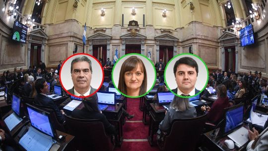 Cómo votaron los senadores de Chaco la Ley de Inviolabilidad de la Propiedad Privada:
