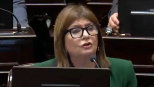 Patricia Bullrich a los gritos: el reclamó por el pin de Malvinas