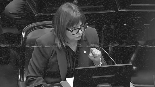 Quedó la mitad del proyecto, pero Patricia Bullrich festejó igual y celebró la "rosca"