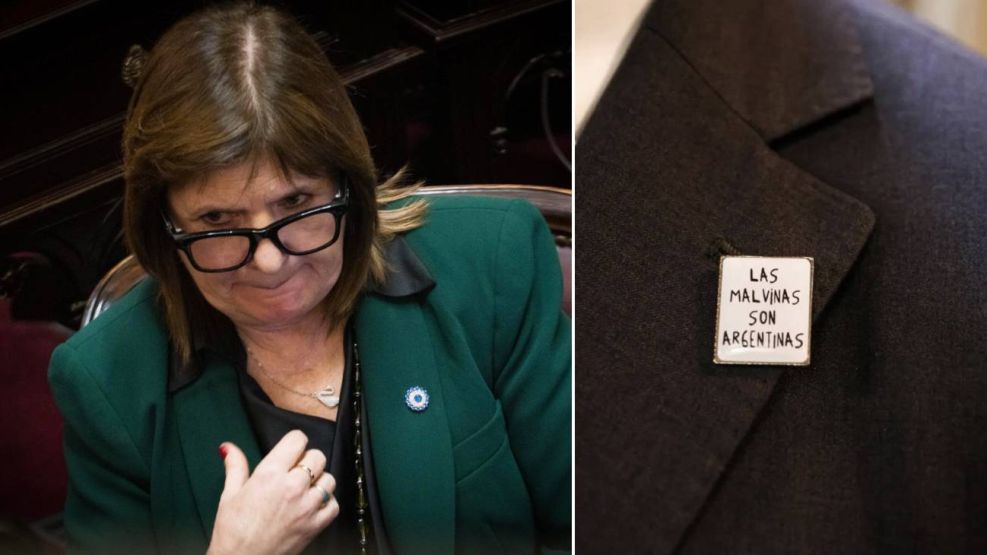 Patricia Bullrich - Pin