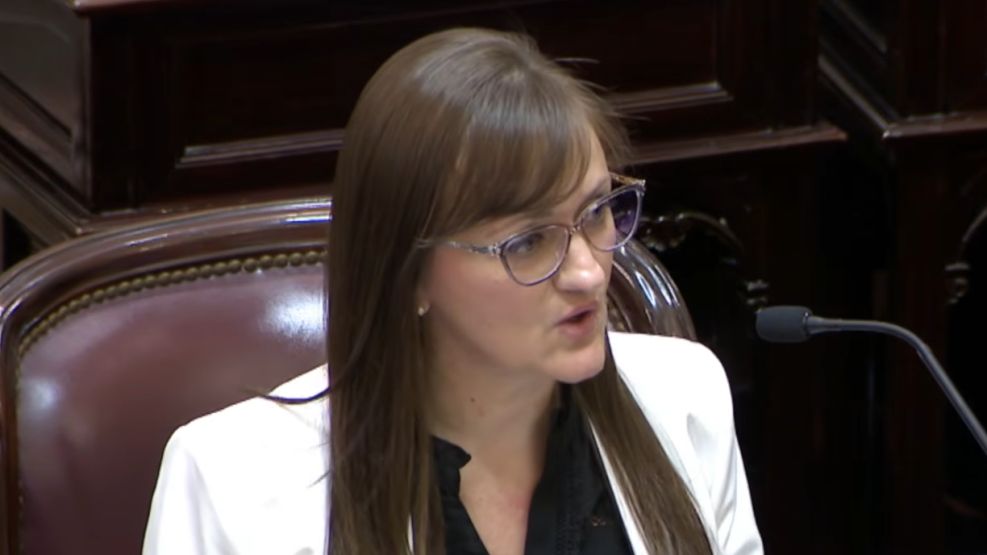 Silvana Schneider, senadora por Chaco (LLA+UCR)