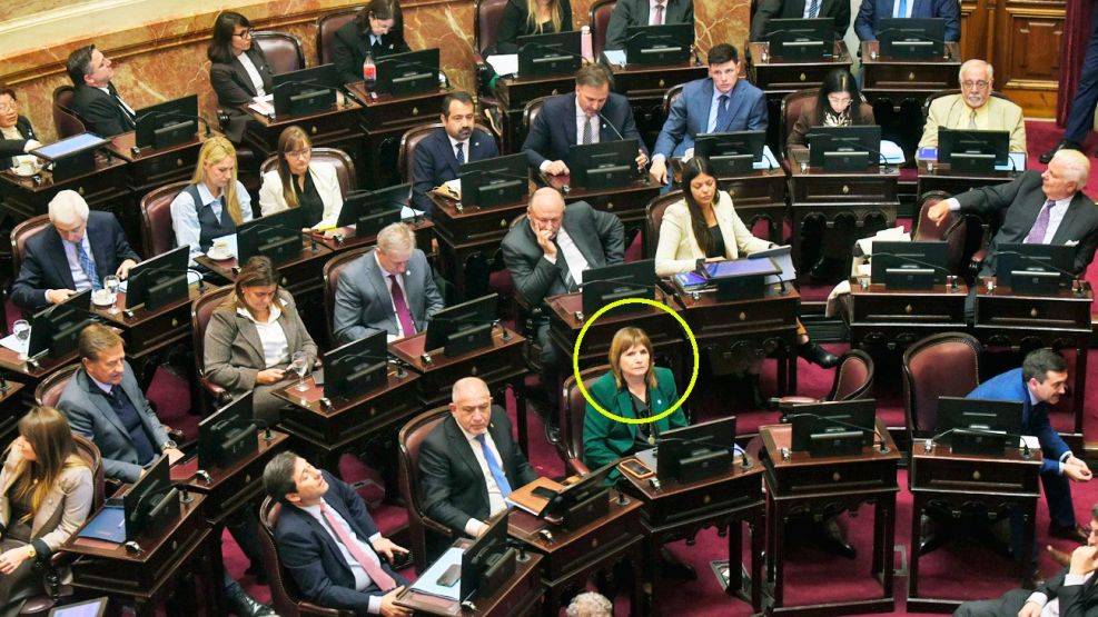 080826_bullrich_senado_cuarterolo_g