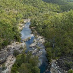 Las consecuencias no quedaron limitadas al terreno donde se abrió el camino. Las modificaciones también alteraron el flujo de las mareas en sectores vinculados con Alligator Creek y Crocodile Creek. De esta manera, una obra realizada originalmente para obtener un acceso más cómodo hacia el agua terminó generando una intervención de gran magnitud sobre el ecosistema.