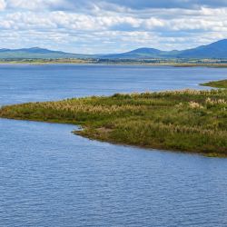La decisión de implementar esta tecnología surgió después de las floraciones algales registradas durante 2024, un problema que se había repetido en el embalse y que genera importantes dificultades en el proceso de potabilización.