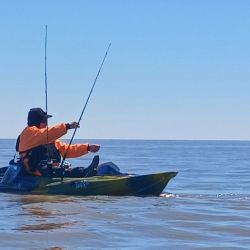 El escenario será La Balandra, en Berisso, donde tendrá lugar una nueva edición de la Fiesta de la Corvina Rubia, una propuesta impulsada por el grupo Bacotas Kayak Fishing con el acompañamiento del municipio.