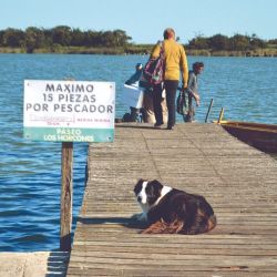 Otros tiempos de la laguna, cuando los pescadores recorrían el muelle antes de subirse a las embarcaciones para pescar pejerreyes. 