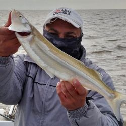 La zona sur del Río de la Plata continúa presentándose en muy buenas condiciones, tal como ocurrió durante buena parte del invierno. Los grandes pejerreyes están presentes y Berisso vuelve a demostrar por qué es uno de los destinos clásicos para buscarlos. 