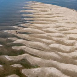 Esta fotografía aérea muestra a un hombre caminando sobre los bancos de arena que quedaron al descubierto tras el descenso del nivel del agua del río Danubio en Batina, al noreste de Croacia. | Foto:MARKO PERKOV / AFP