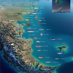 Mile 201: The invisible line where fishing becomes environmental poaching.