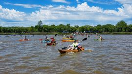 El escenario será La Balandra, en Berisso, donde tendrá lugar una nueva edición de la Fiesta de la Corvina Rubia, una propuesta impulsada por el grupo Bacotas Kayak Fishing con el acompañamiento del municipio.