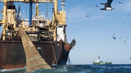 Mile 201: The invisible line where fishing becomes environmental poaching