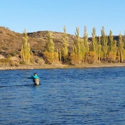 El Gobierno del Chubut participó de una nueva reunión de la Comisión Consultiva y de Coordinación de la Pesca Deportiva Continental Patagónica, celebrada en la Ciudad Autónoma de Buenos Aires.