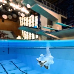 El clavadista británico Jordan Holden compite en la final de saltos de trampolín de 3 metros masculino durante el Campeonato Europeo de Natación LEN, en el Centro Acuático Olímpico de Saint-Denis, suburbio al noreste de París. | Foto:SEBASTIEN BOZON / AFP