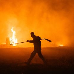 Un bombero combate un incendio forestal en Deliblatska Pescara (Arenas de Deliblato), cerca del pueblo de Dubovac, a unos 70 kilómetros al noreste de Belgrado, Serbia. Los bomberos luchaban contra incendios forestales en los Balcanes, donde las altas temperaturas y la sequía continuaban avivando las llamas en varios países, incluida Serbia. | Foto:Uros Arsic / AFP