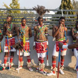 Varios artistas se reunieron antes de una presentación de danza Bapedi Dinaka en una reunión familiar para una ceremonia de lobola (dote) en Polokwane. Los hombres, vestidos con coloridos trajes tradicionales, tocaron la dinaka (flautas de pico) para los familiares e invitados. La dinaka es una tradición musical y de danza Bapedi en la que grupos de hombres tocan flautas de diferentes tonos para crear una melodía, que se interpreta en reuniones comunitarias y ceremoniales. | Foto:EMMANUEL CROSET / AFP