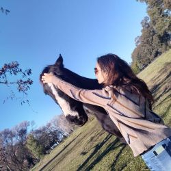 No hace falta saber montar: así es una sesión real de Coaching con Caballos | Foto:CONTENT NOTICIAS