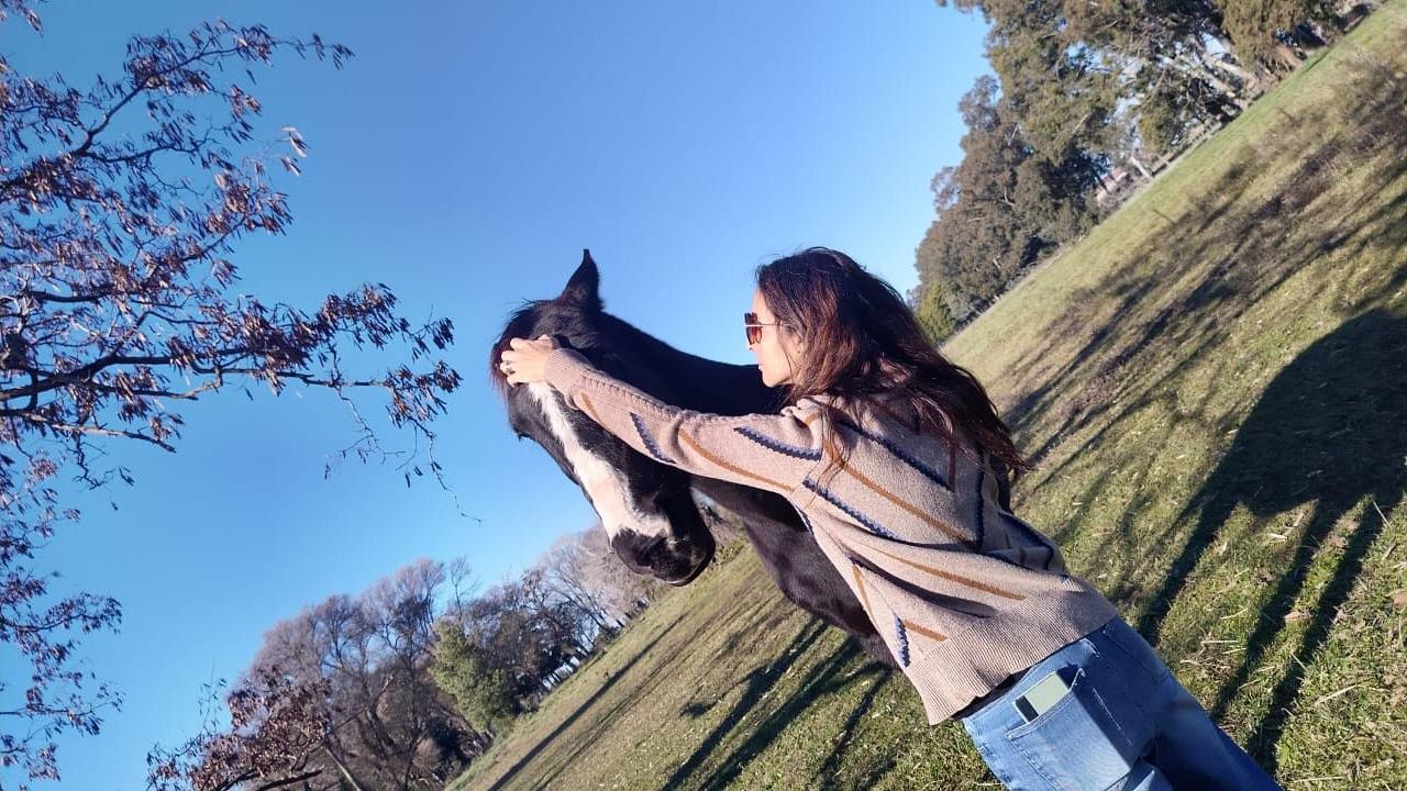 No hace falta saber montar: así es una sesión real de Coaching con Caballos | Foto:CONTENT NOTICIAS