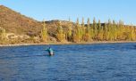 Temporada de pesca 2026-2027 en la Patagonia: cuánto costarán las licencias y qué cambios habrá
