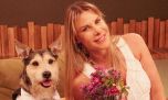 Karen Reichardt defiende su proyecto de criaderos: "Basta de desinformación"
