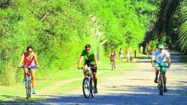 Todo verde: reservas naturales a orillas del Río de la Plata