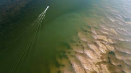 El fenómeno El Niño se extenderá hasta el comienzo del otoño 2027: el factor determinante que definirá su impacto en Argentina