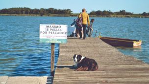 1008_pesca