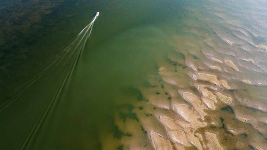 El fenómeno El Niño se extenderá hasta el comienzo del otoño 2027: el factor determinante que definirá su impacto en Argentina