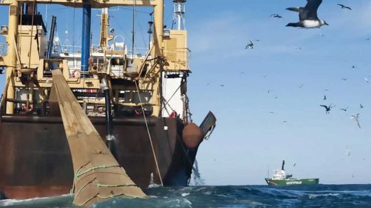 From squid to oil: How the UK is consolidating the illegal exploitation of the Malvinas waters through to 2047