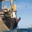 From squid to oil: How the UK is consolidating the illegal exploitation of the Malvinas waters through to 2047