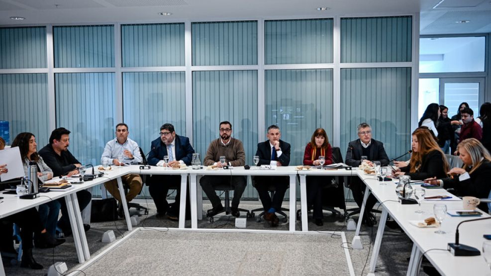 Comisión especial por el nuevo código de convivencia de la ciudad