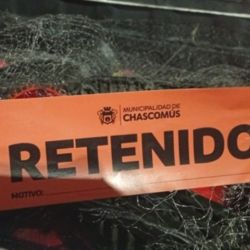 Las situaciones adquieren todavía mayor relevancia al considerar que el pejerrey es uno de los grandes protagonistas de Chascomús y uno de los principales atractivos para los pescadores deportivos que visitan este tradicional espejo bonaerense que luce este año renovado tras varias temporadas de magros resultados. 