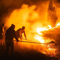 Los lugareños y los bomberos luchan contra un incendio forestal en Deliblatska Pescara, cerca de la aldea de Dubovac, a unos 70 kilómetros al noreste de Belgrado, Serbia. Los bomberos luchaban contra los incendios forestales en los Balcanes mientras los días de altas temperaturas y condiciones de sequía continúan provocando incendios en varios países, incluida Serbia. | Foto:Uros Arsic/AFP