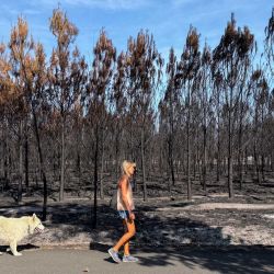 Una mujer pasea junto a su perro frente a un bosque parcialmente quemado tras un incendio forestal en Andernos-les-Bains, después de que la ciudad reabriera sus puertas a los residentes. Andernos-les-Bains, en el suroeste de Francia, se encuentra en la cuenca de Arcachon, recuperando así su vitalidad. Tras ser evacuados durante el devastador incendio de la Gironda, los negocios locales están reabriendo gradualmente. | Foto:Olivier Morin / AFP