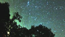 1208_perseidas